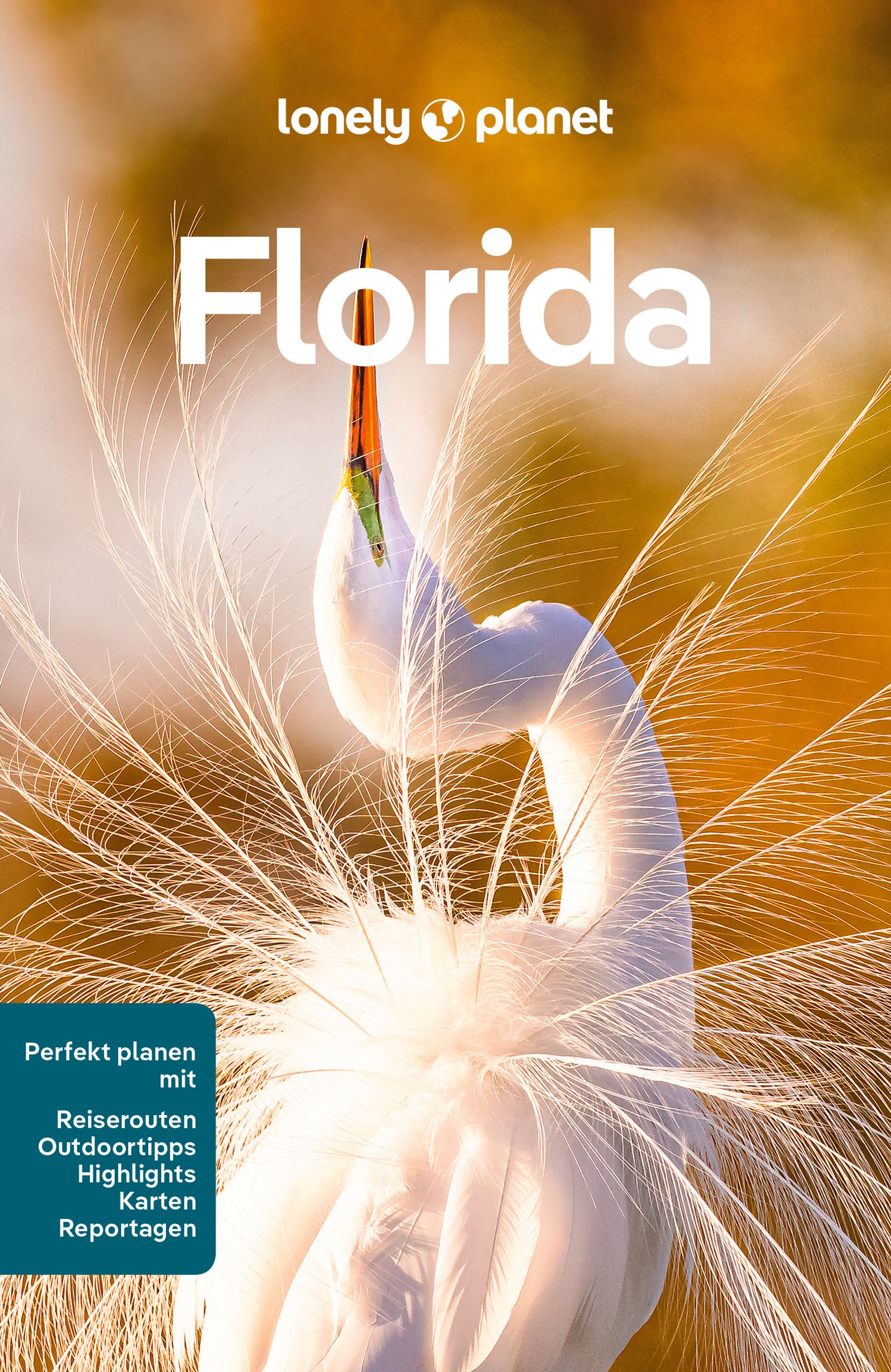 Lonely Planet Florida (eBook)