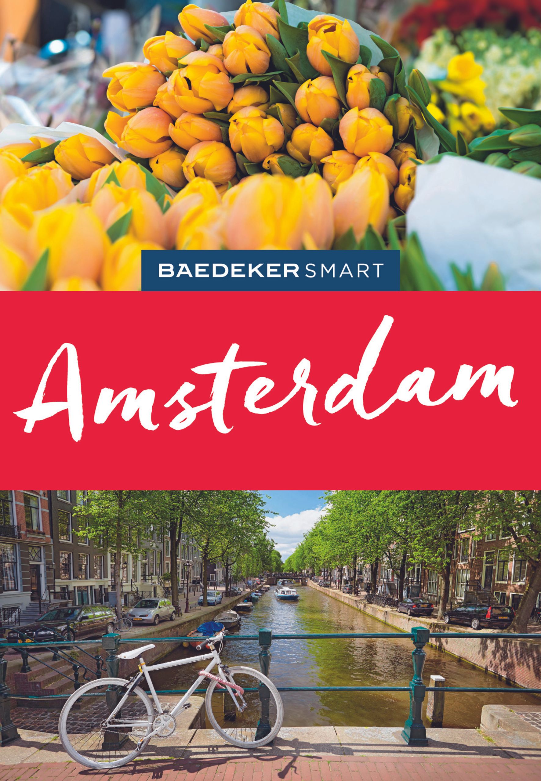 Baedeker Amsterdam (eBook)